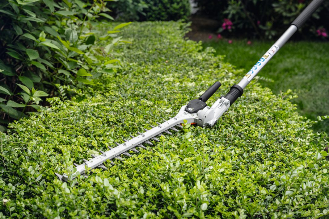 Stihl HL - KM Adjustable Hedge Trimmer - Image 2