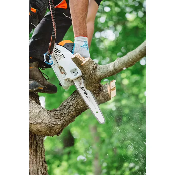 STIHL® MS 151 T C-E Chainsaw - Image 2