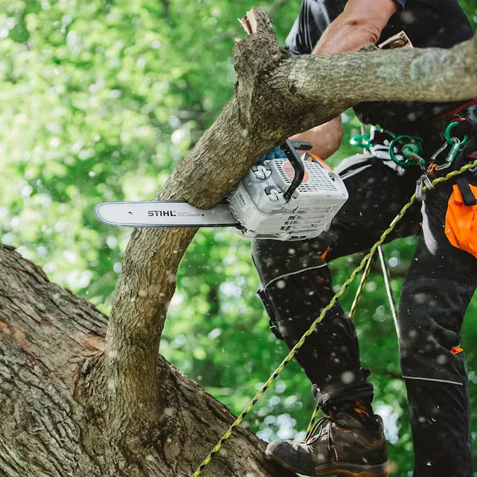 STIHL® MS 151 T C-E Chainsaw - Image 4