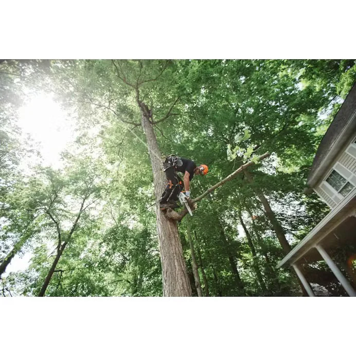 STIHL® MS 151 T C-E Chainsaw - Image 6